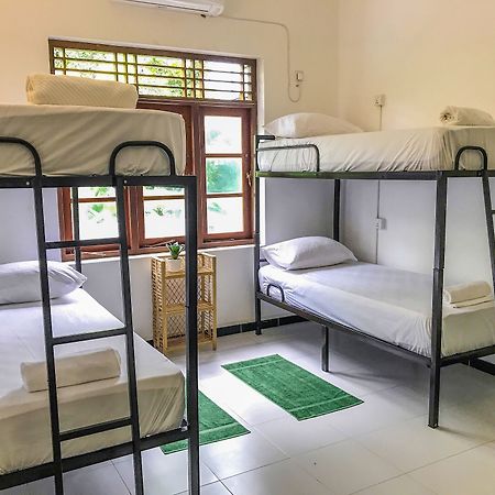Bed & Bicycle Hostel مافونت لافينيا المظهر الخارجي الصورة