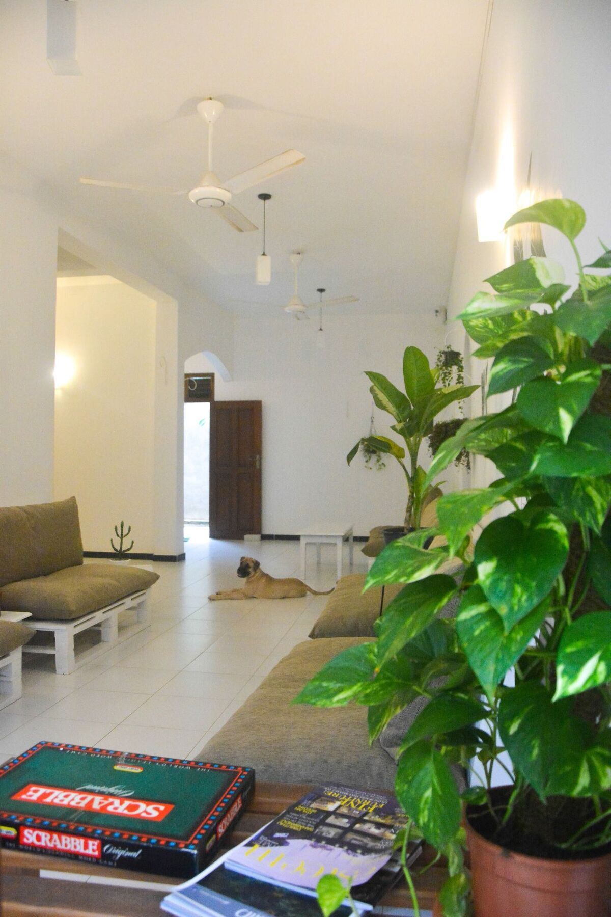 Bed & Bicycle Hostel مافونت لافينيا المظهر الخارجي الصورة